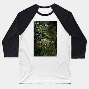 Sweet Bursaria Baseball T-Shirt